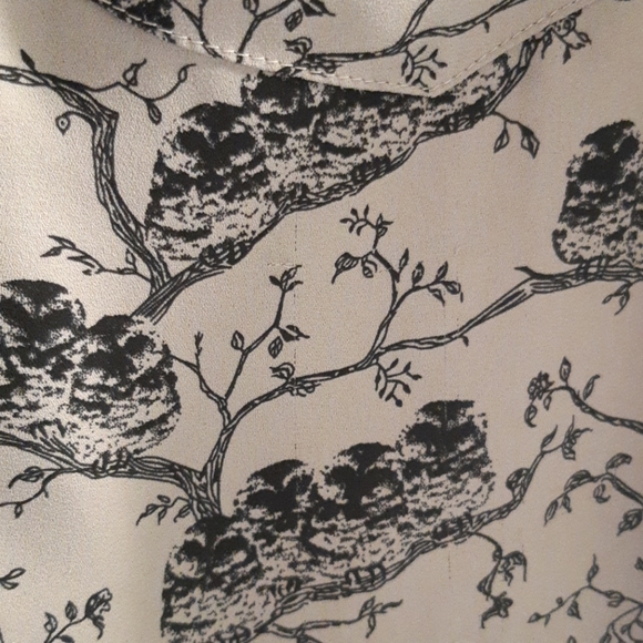 Dress shirt - Picture 2 of 4